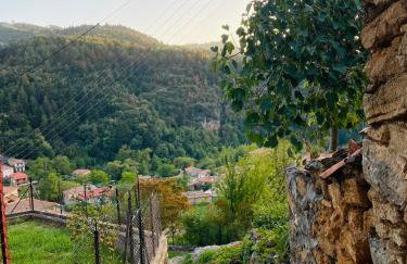 Forrest Guesthouse - Foto 54