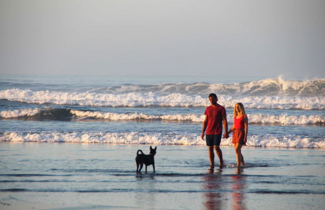 Bali Hai Island Resort - Foto 61