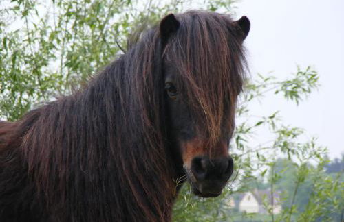 Les Belleme Golf - Self-catering Apartments - Foto 26