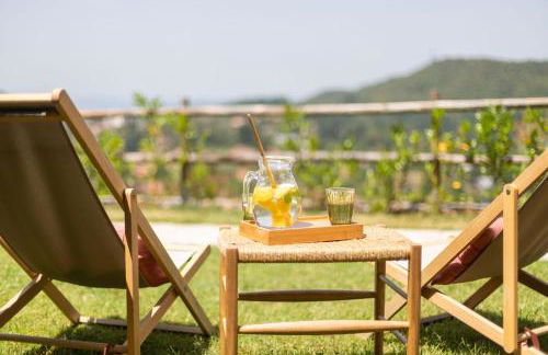 Les Planes de Viladrau - Foto 19