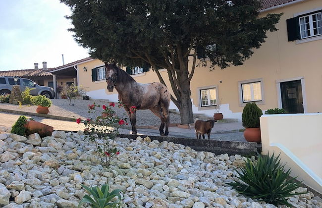 Terra Luso - Foto 48