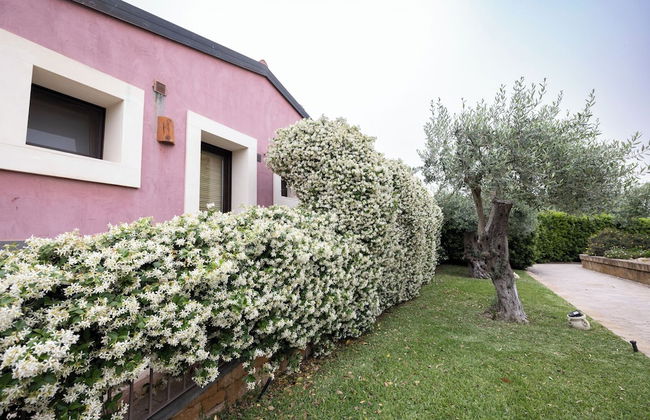 Agriturismo Badiula - Foto 59