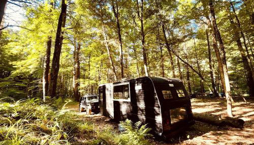 Romantic Glamping Getaway in a Pet Friendly Caravan, Ideal to Explore Hudson Valley - Foto 5