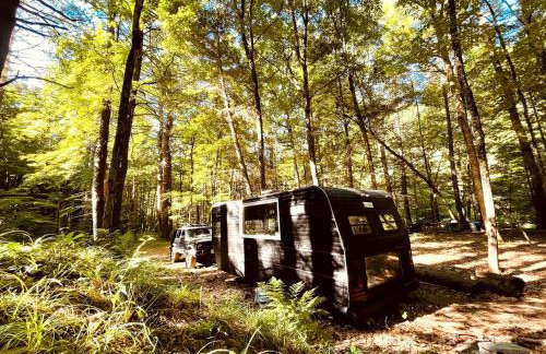 Romantic Glamping Getaway in a Pet Friendly Caravan, Ideal to Explore Hudson Valley - Foto 5