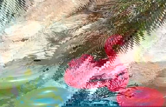 Mirador Apartments - Foto 54