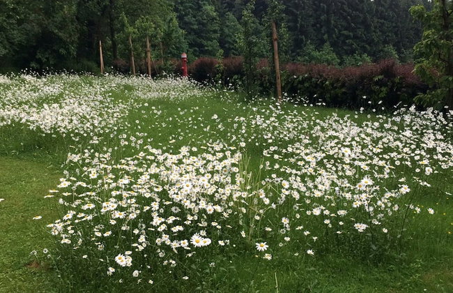 Chalet in Kollnburg Near St. Englmar Ski Area - Photo 14