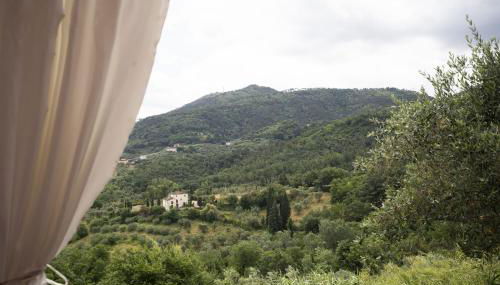 Società agricola Scerba srl - Foto 4