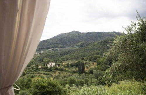 Società agricola Scerba srl - Foto 4