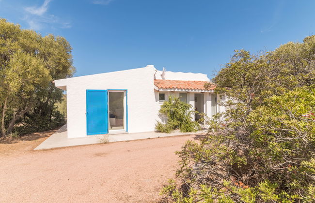 Contraruia - Foto 20