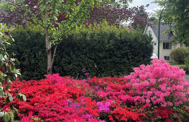 West Broadway guesthouse - Photo 72