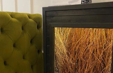 Family & Business Sauna Tężnia Apartments No18 Leśny nad Zalewem Cedzyna -1 Bedroom with Private Sauna, Bath with Hydromassage , Terrace, Parking, Catering Options - Foto 1