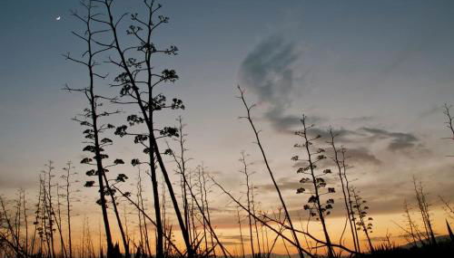 Nuestra casita en CABO DE GATA - Foto 3