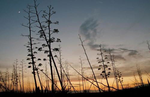 Nuestra casita en CABO DE GATA - Foto 3