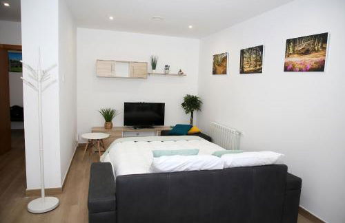 Apartamentos turisticos Chans do Carrasco S L U - Foto 23