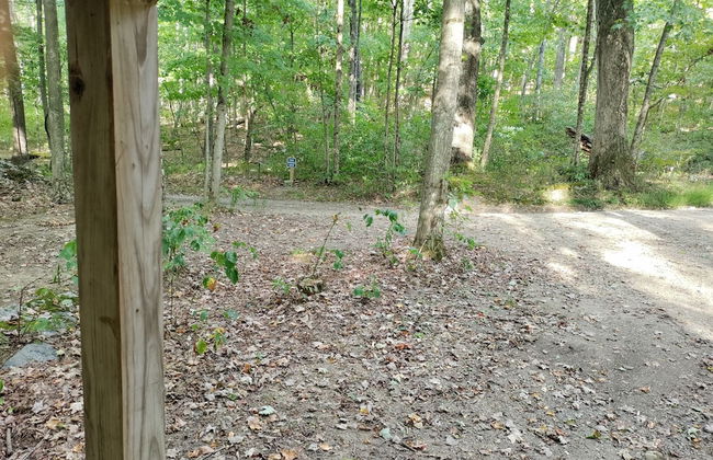 Abrams Creek Center - Foto 41