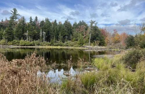 TymeoffVT cabin in the woods - Hot Tub , EV chg - Foto 19