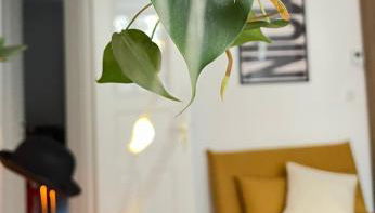 Stylish Central Apartment - Foto 2