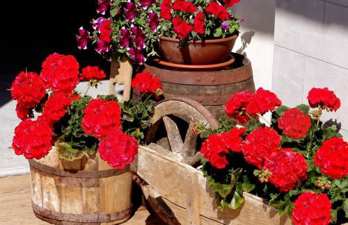 Apartments Serghela - Photo 70