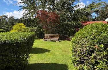 Duplex com vista espetacular no Morro do Elefante! - Foto 39