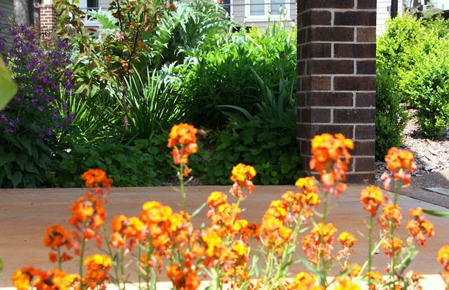 Marysville Garden Cottages - Photo 61