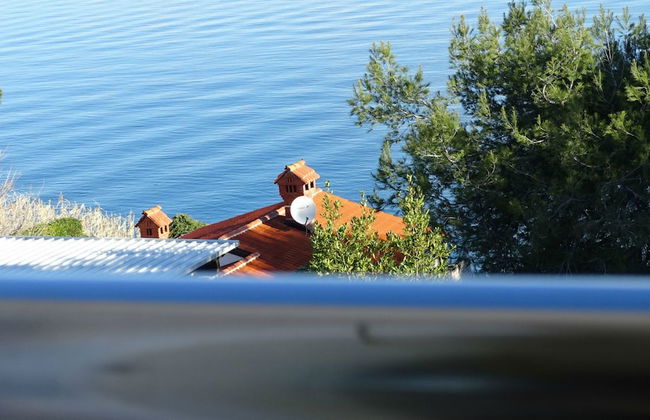 Apartments Delfin Villa Sofia - Foto 48