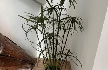 Louis XIII, Le Somail. - Foto 45