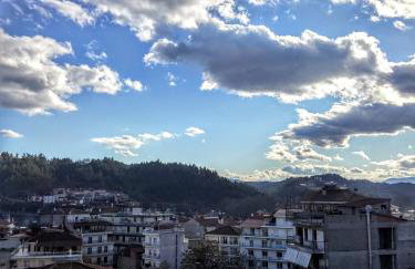 Traditional penthouse with mountain view - Foto 24