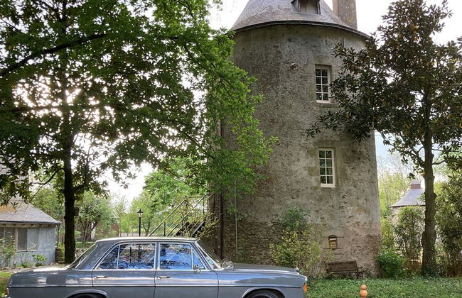 Château de la Preuille - Foto 16