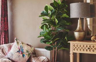 The Couple's Retreat - Foto 20