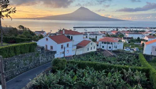 Quinta Peixinho RC DT - Foto 1, Garden