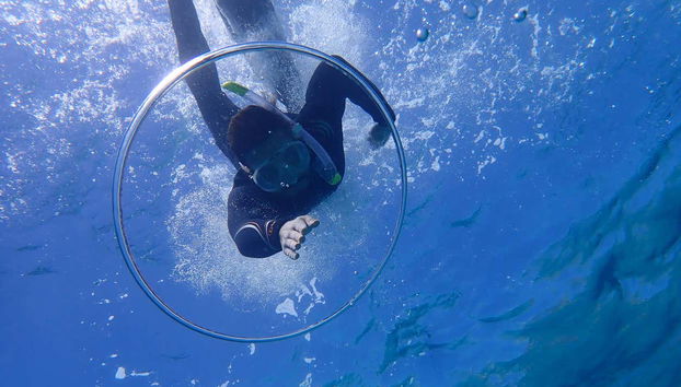 Snorkel en la Reserva Marina Cala Delta - Foto 4, Zambullida en aguas de Cala Delta