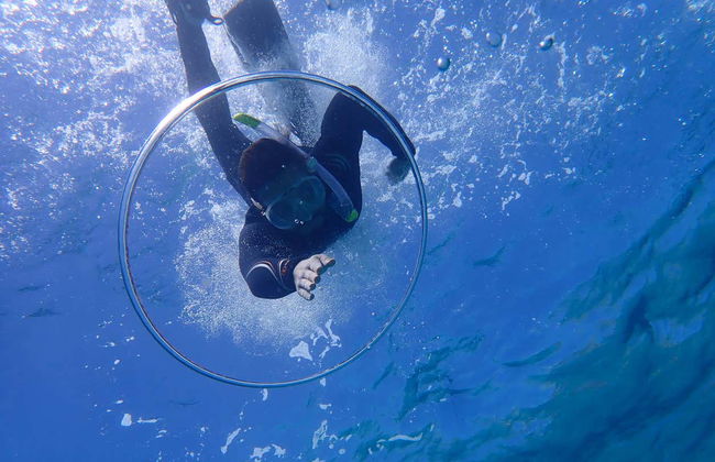 Snorkel en la Reserva Marina Cala Delta - Foto 4