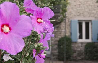 Cyprès du Paradis à Gordes - Photo 17