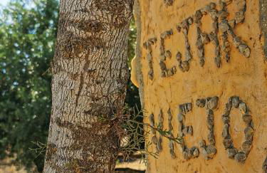 Casa Rural El Tejar Viejo - Foto 36