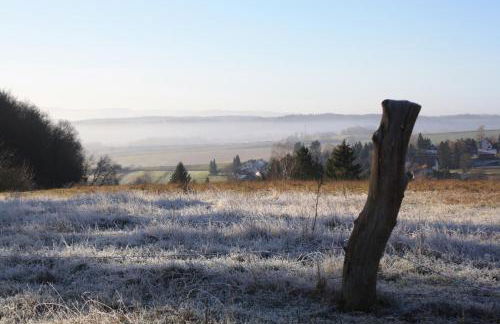 Ferienwohnung Rothirsch - Foto 48