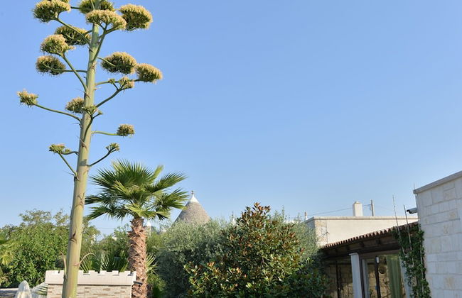 Masseria Pentima Vetrana Resort - Foto 28