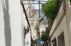 Casa Servatius - Foto 10