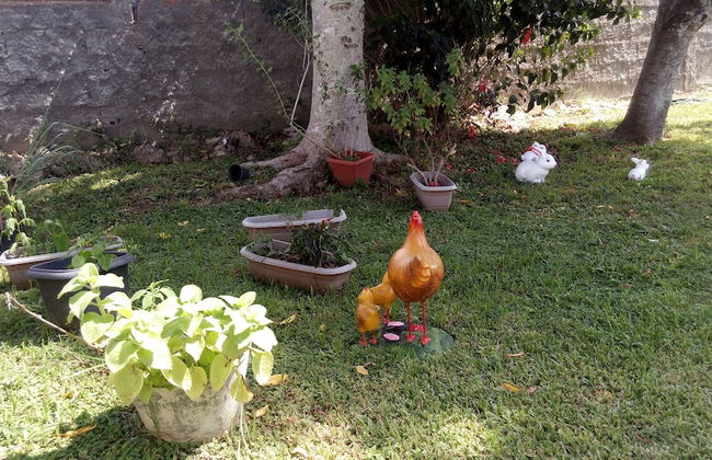 Casa Aconchegante Lazer e Descanso - Foto 22