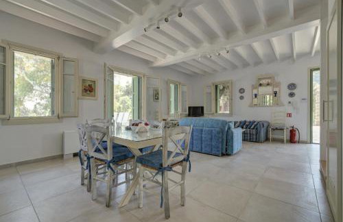 Ouzo Traditional House with private pool - Foto 25