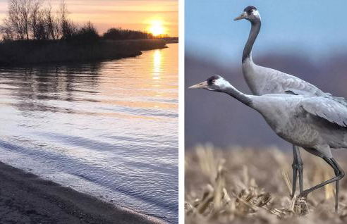 Ferienhaus Pruchten - Foto 14