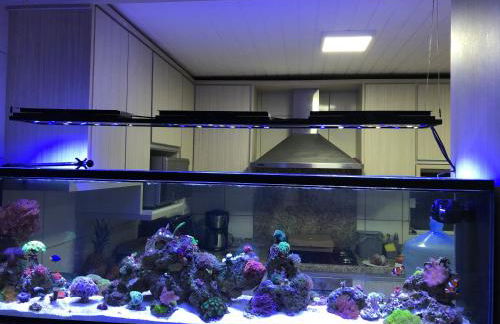 Casa para temporada - Photo 6