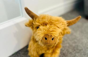 Kilmartin Court Apartments - No3 By The Sea & No2 With A View - free parking - Foto 45