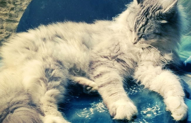 Agriturismo LA.TI.MI.DA. - Foto 10