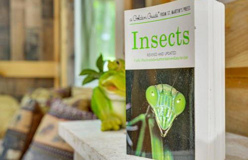 Solar-Powered Brandon Studio Cabin Hiking Access - Foto 8