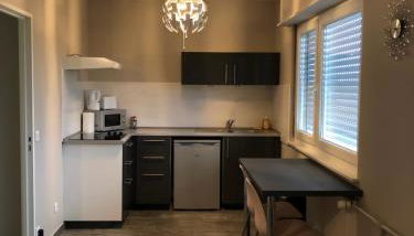 Executive Studios near Basel - Foto 4