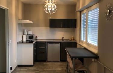 Executive Studios near Basel - Photo 4