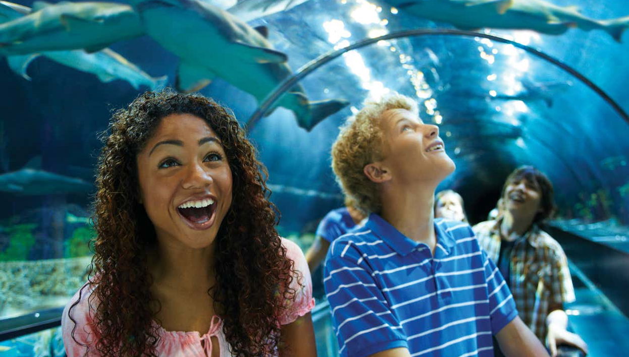 Seaworld San Diego Entrance Ticket - Foto 1