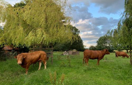 Jenson Cottage - Photo 60