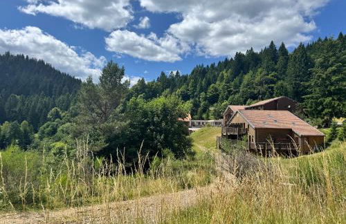 Appartement à La Bresse - cadre naturel et calme - Foto 29
