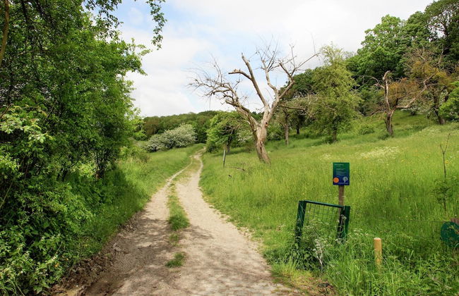 Scenic Gulp Valley Stay - Foto 37